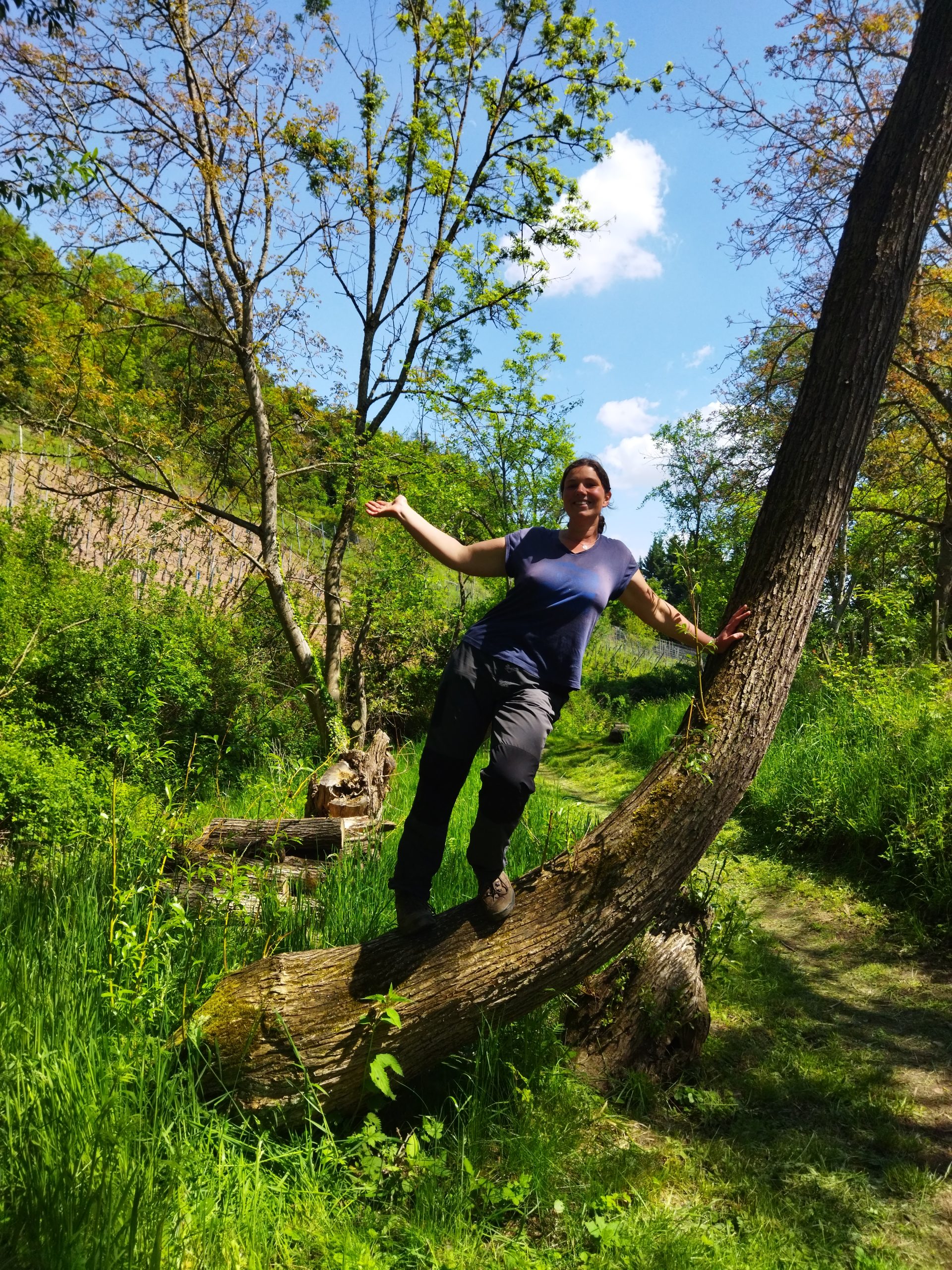 Img 20220507 135641 1