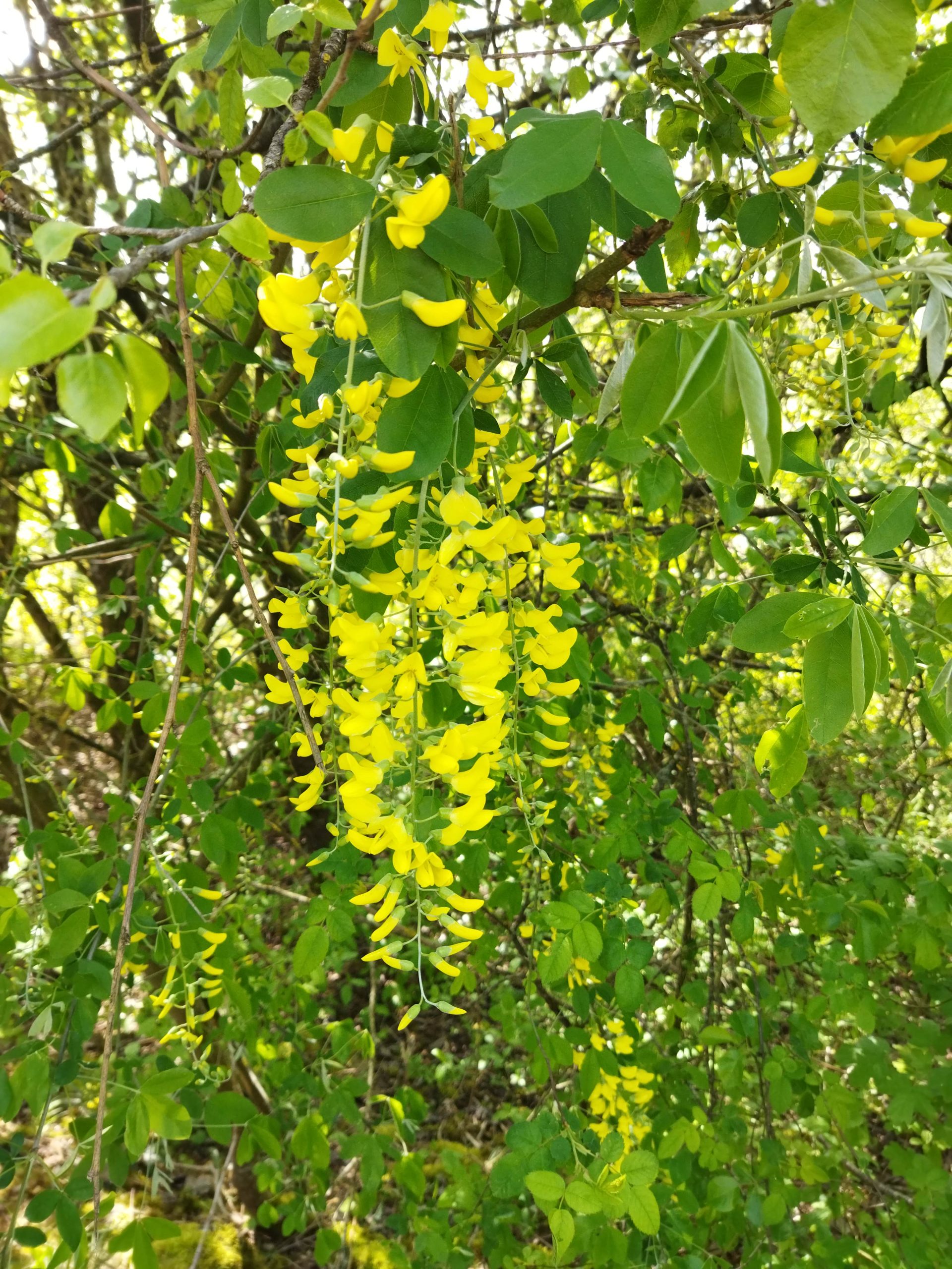 .trashed 1716369941 2024 04 22t10 30 48+02 00